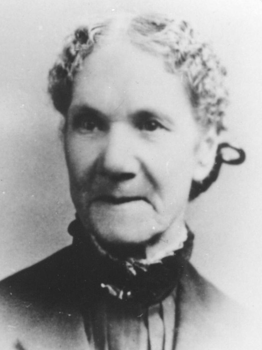 Eliza Lewis (1824 - 1895) Profile